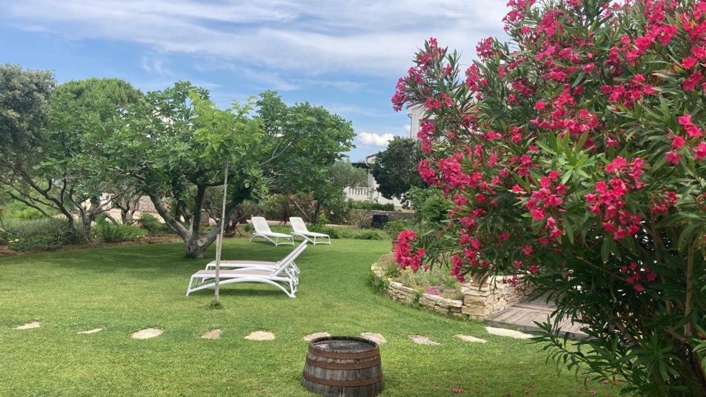 Bed&Breakfast Vanni Privlaka  Εξωτερικό φωτογραφία