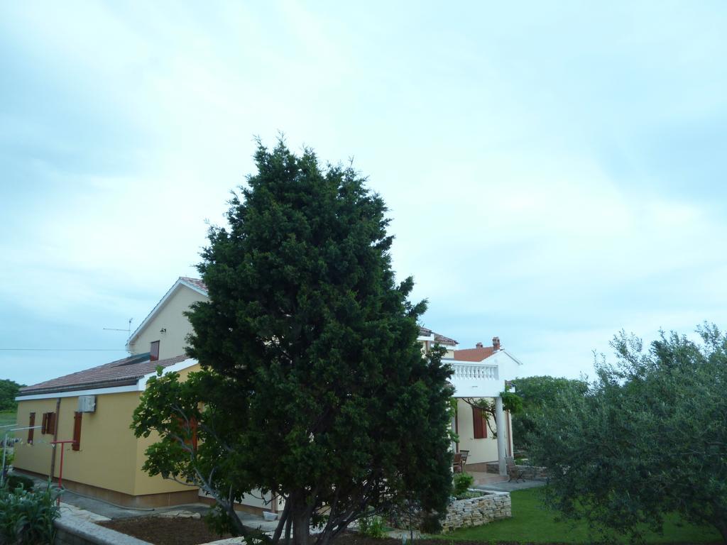 Bed&Breakfast Vanni Privlaka  Εξωτερικό φωτογραφία